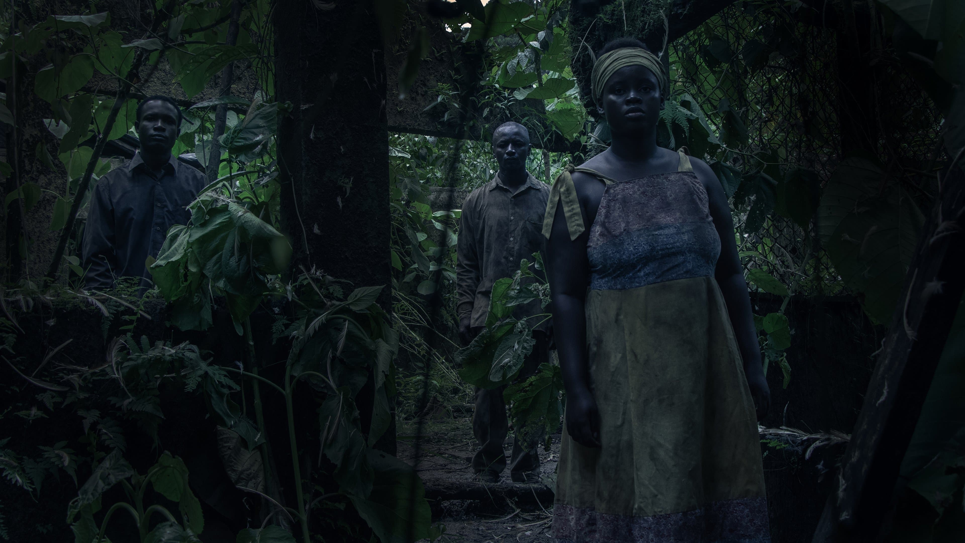 고요한 세 개의 빛