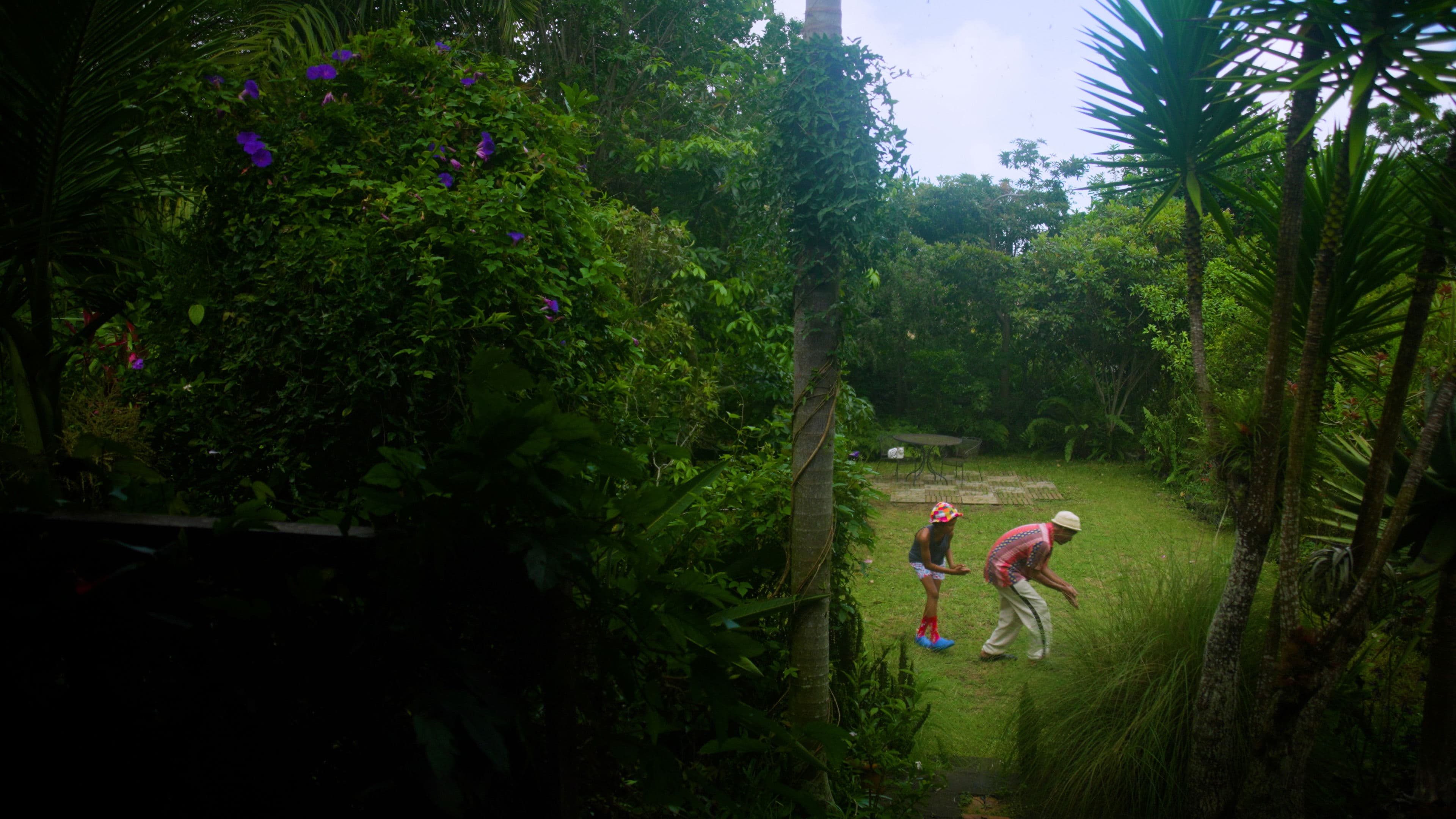 La Vérité sur Alvert le dernier dodo
