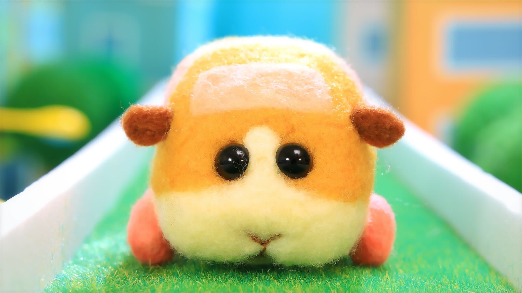 뿌이뿌이 모루카