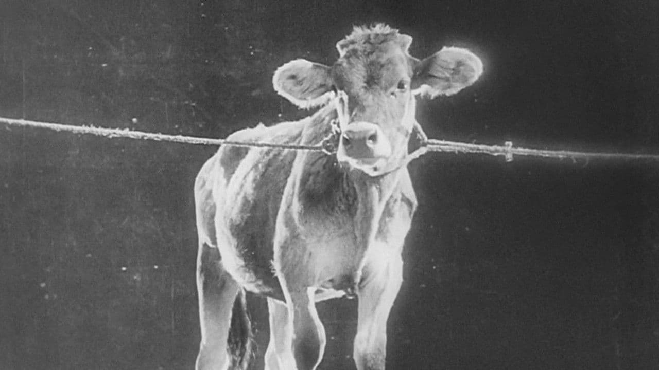 낡은 것과 새로운 것