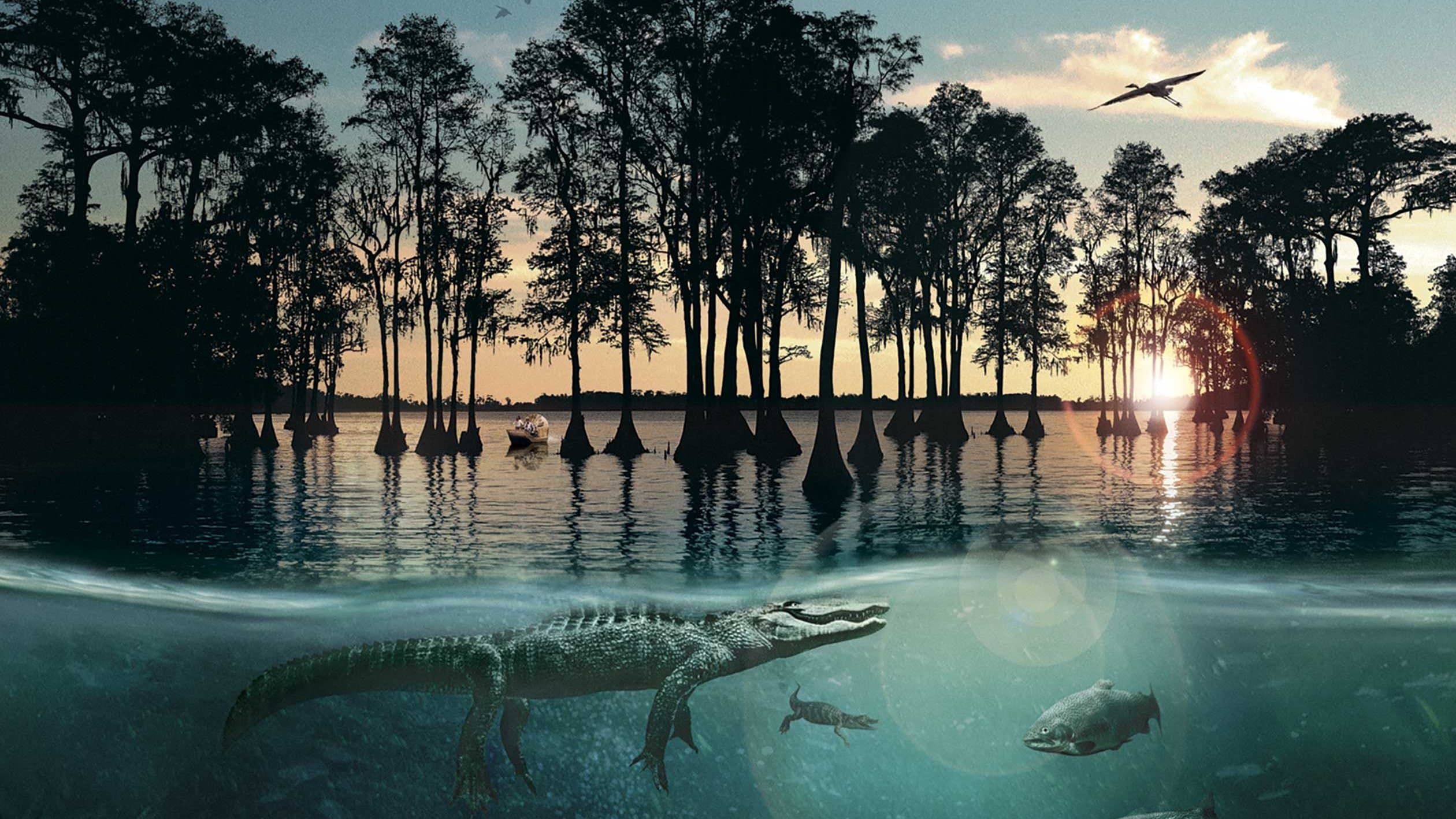 바이유의 허리케인