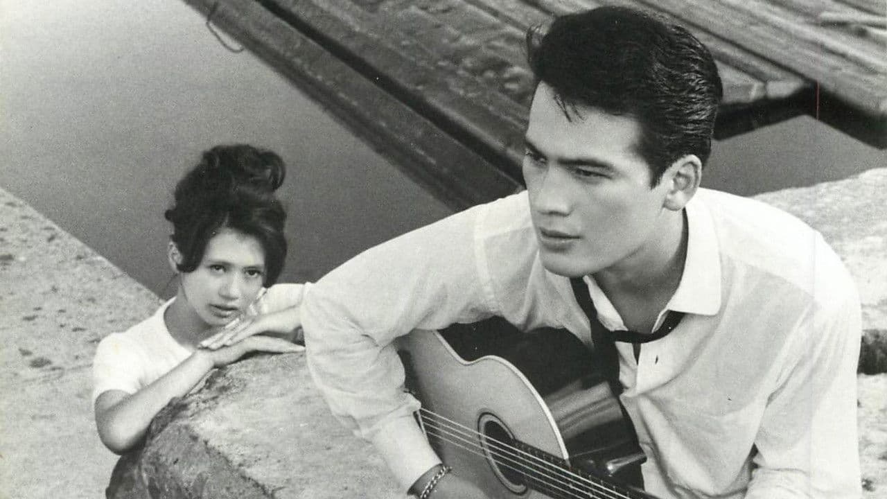 눈물을, 사자의 갈기에