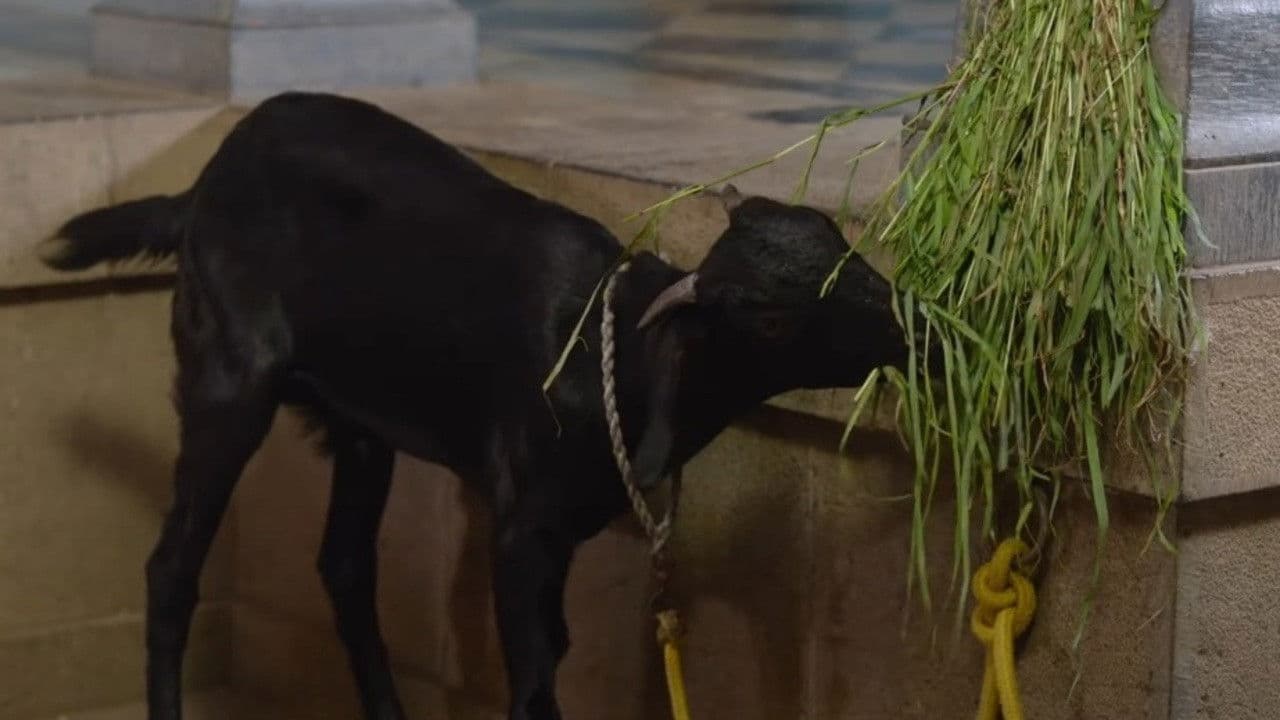 भारत माझा देश आहे