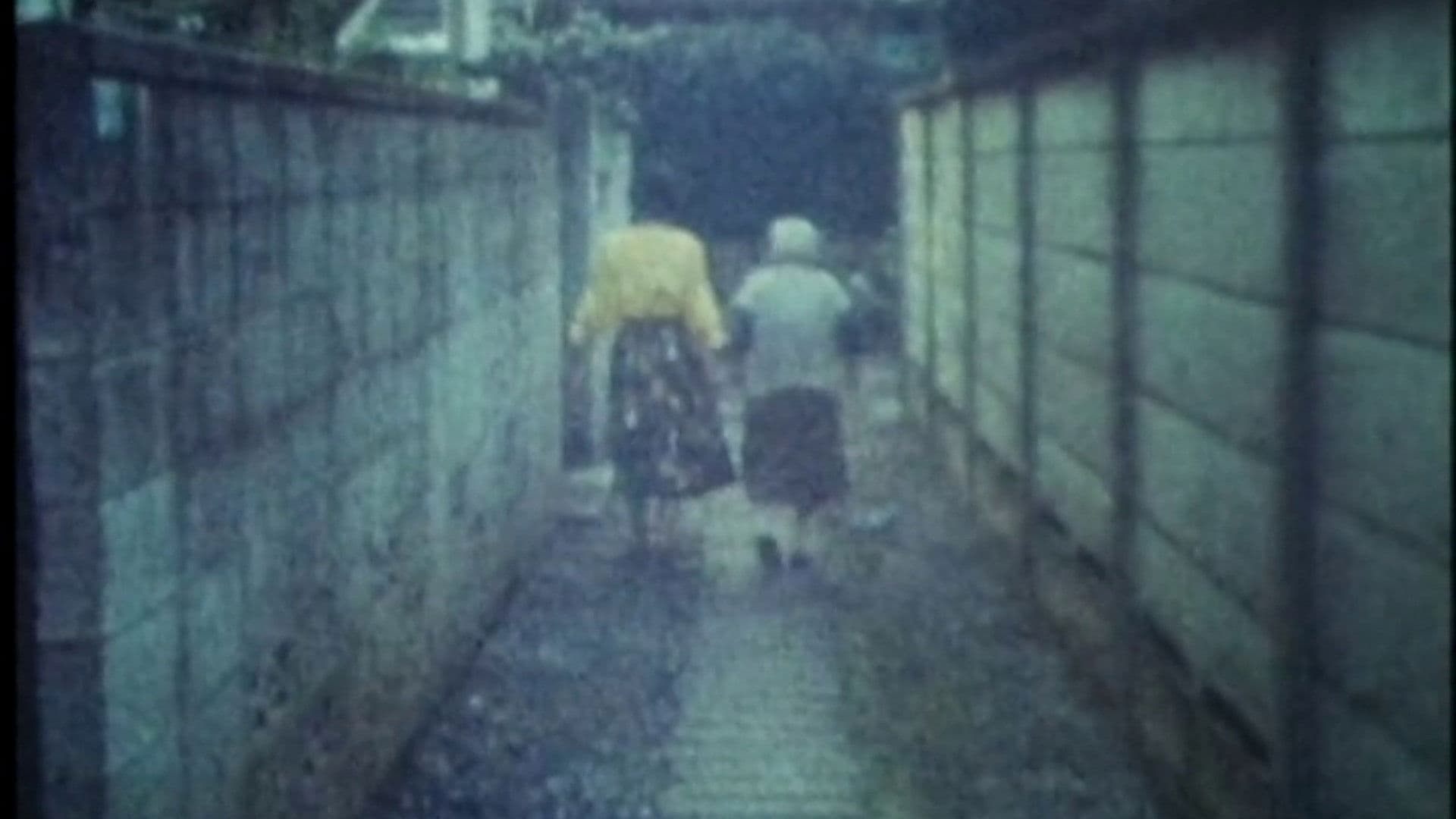 続・おでかけ日記～第2章～草の家