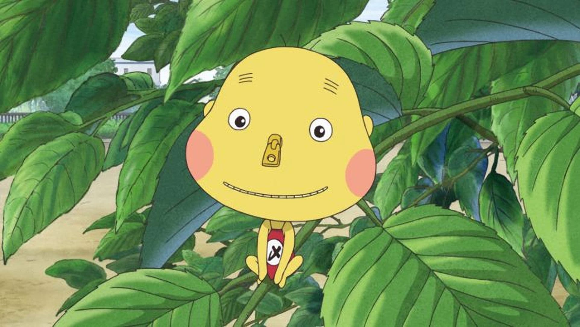 チャックシメゾウ