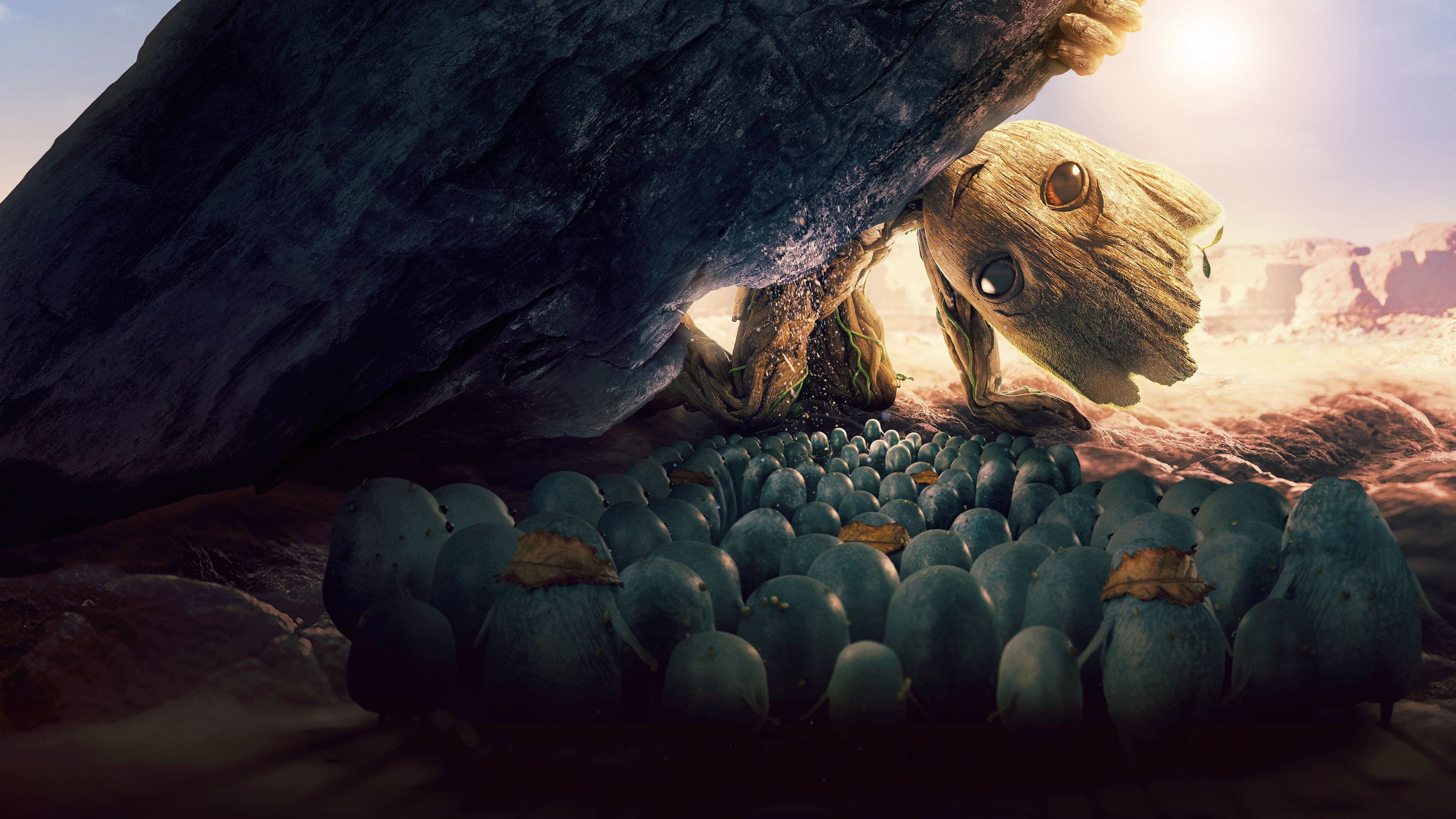 작고 소중한 분