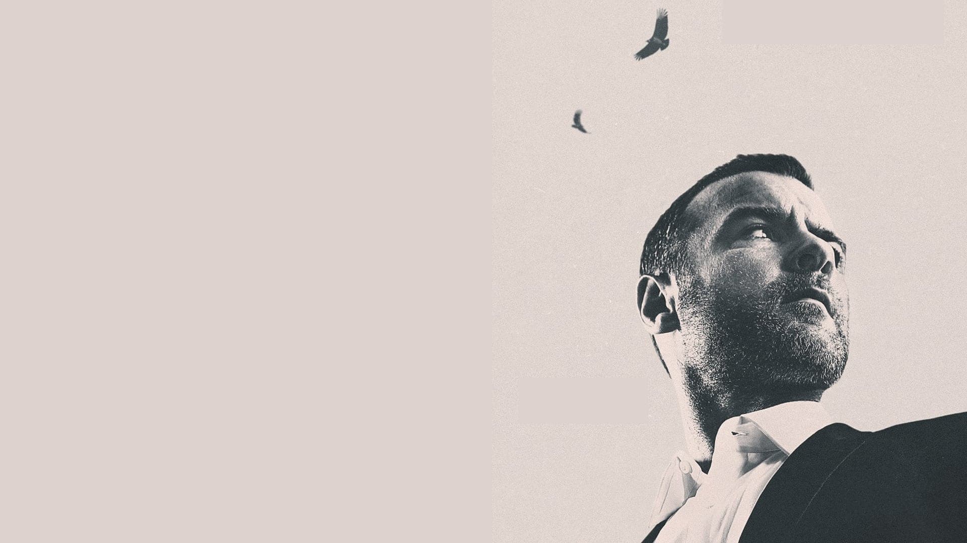 레이 도노반: 더 무비