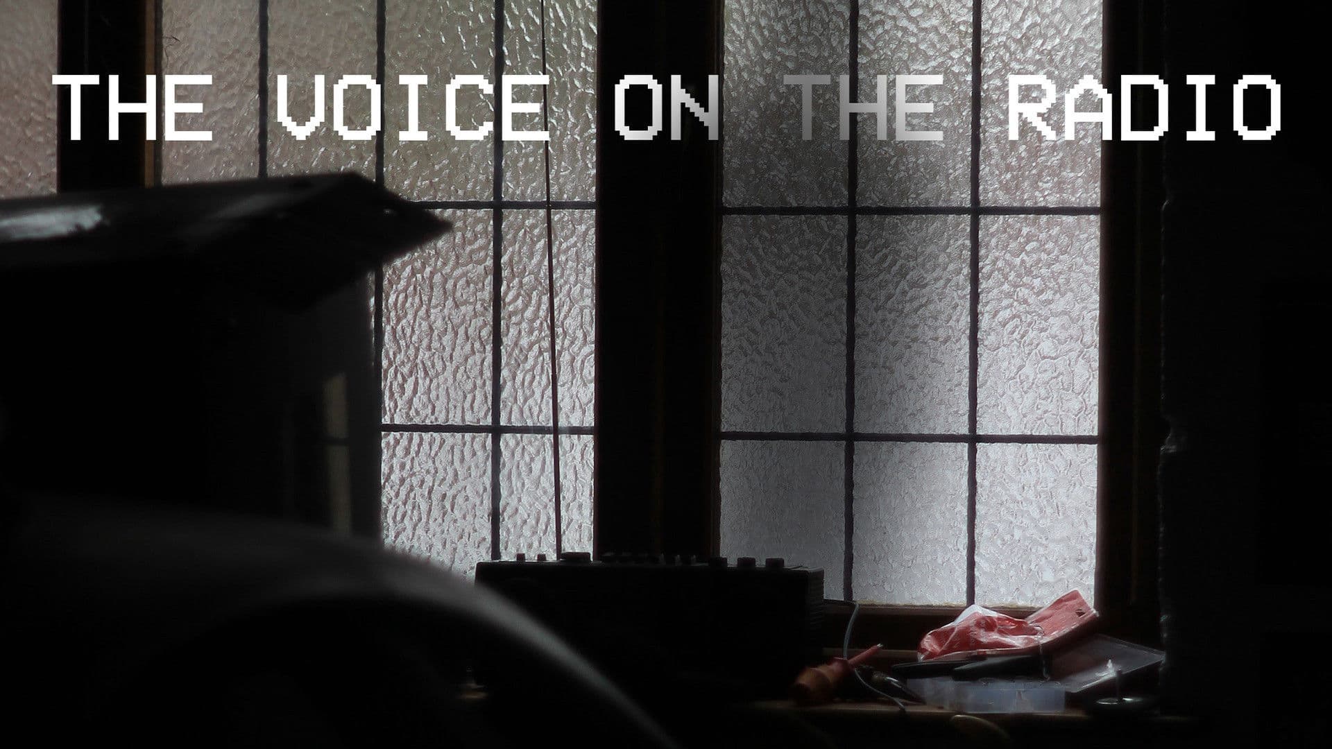 The Voice on The Radio