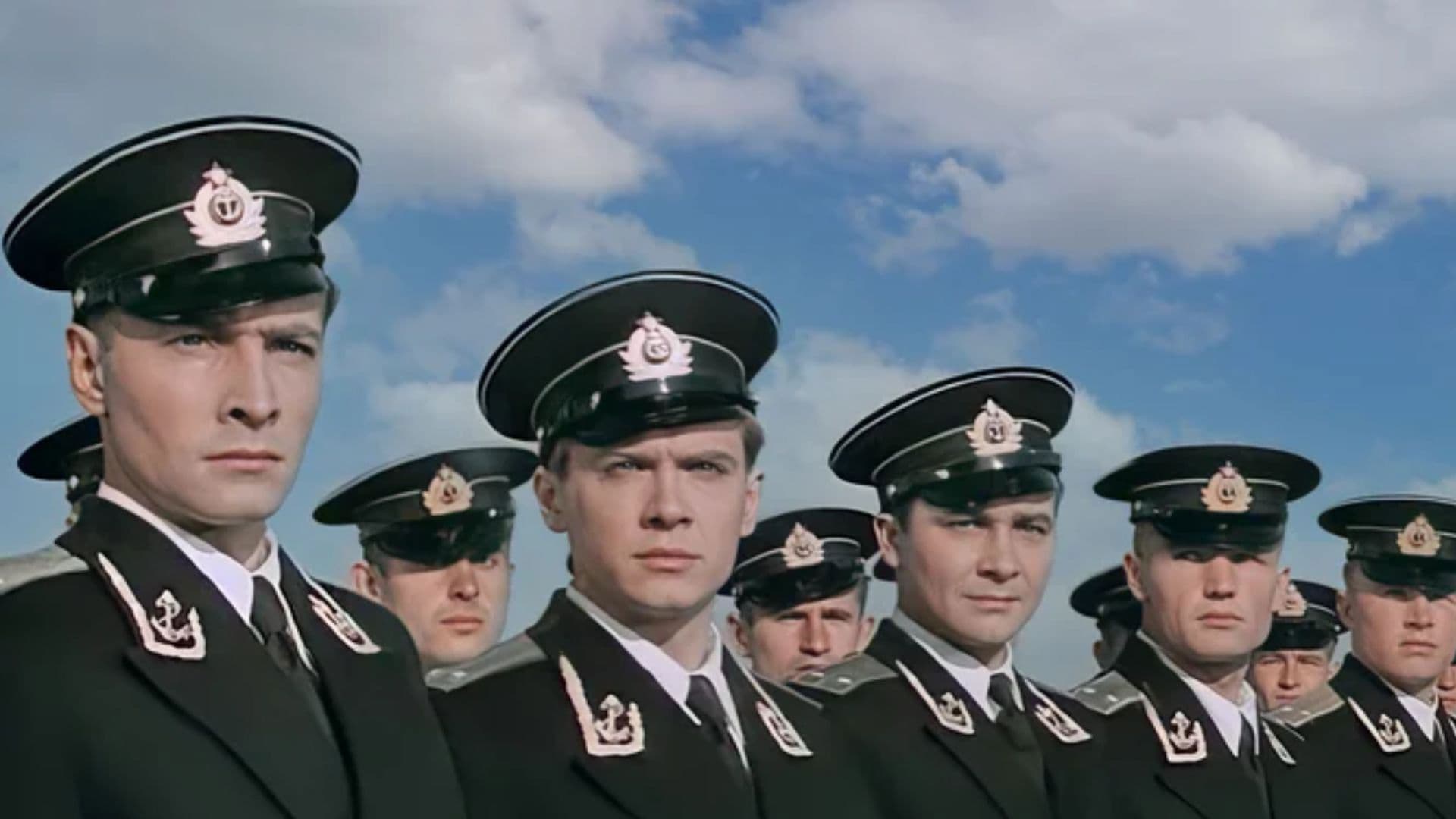 Звёзды на крыльях