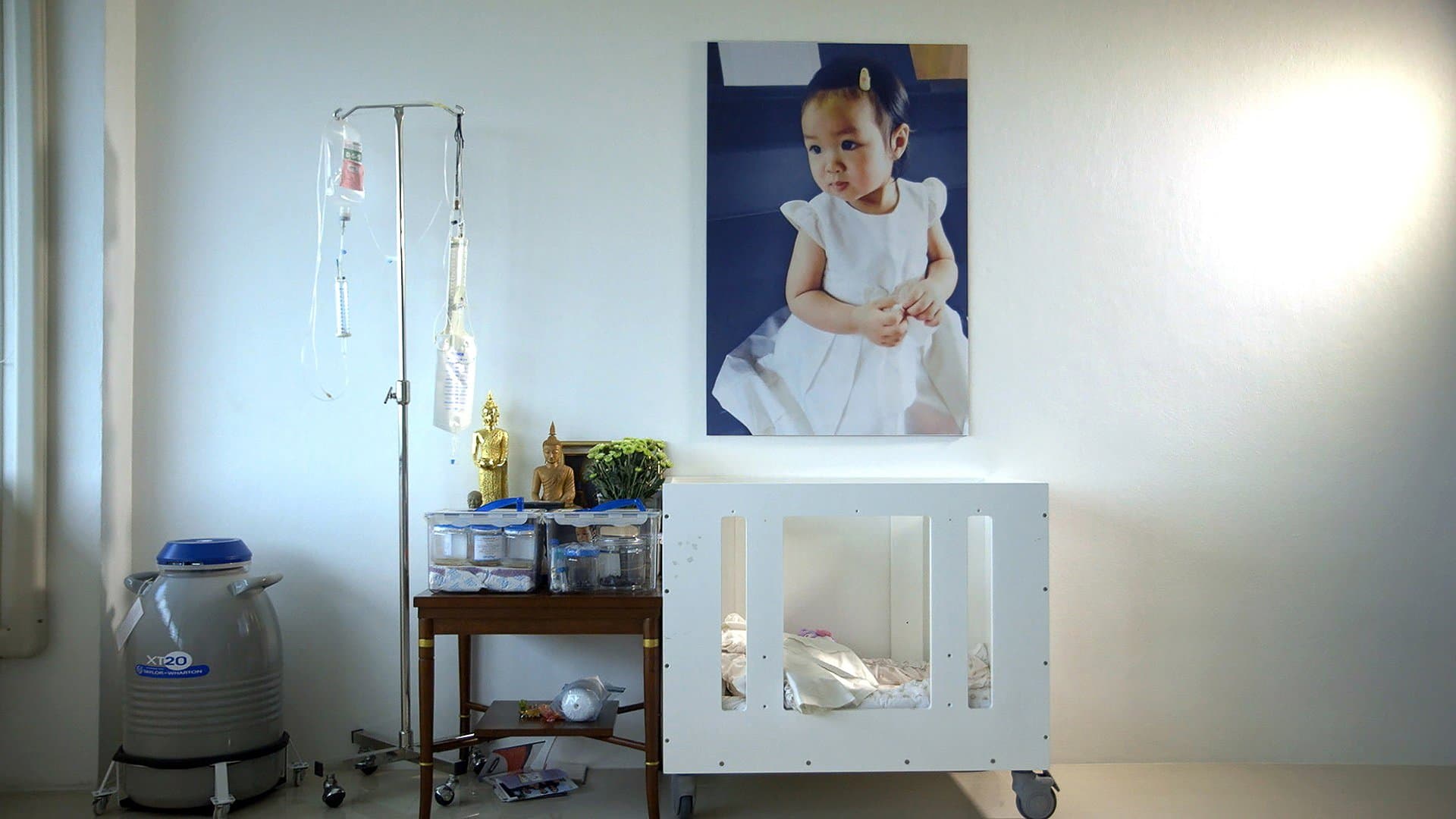 희망을 얼리다: 환생을 향하여