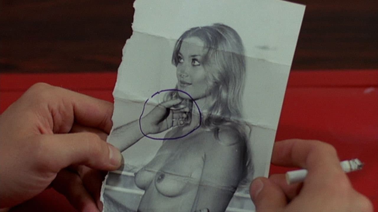 타란툴라의 검은 배