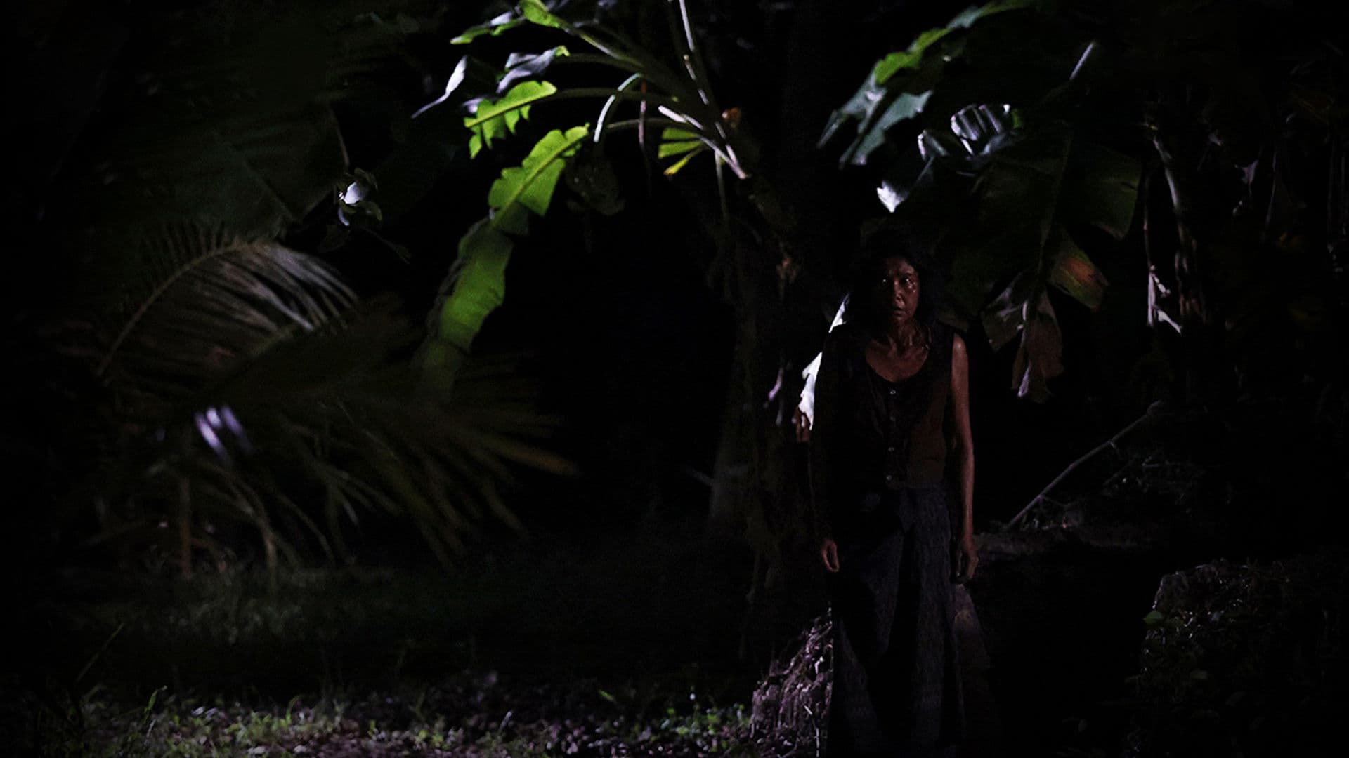 랑종: 피의 저주