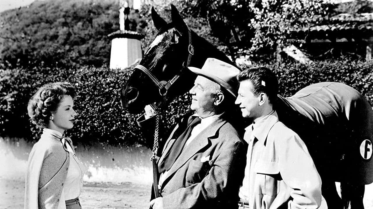 프란시스: 대도시를 정복하다