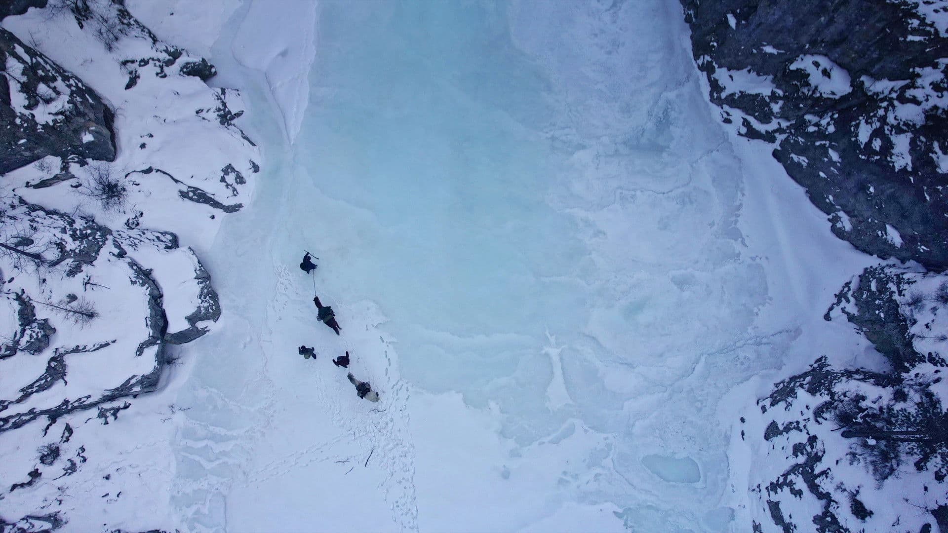 Gardiens de la forêt : Mongolie, la vallée des ours