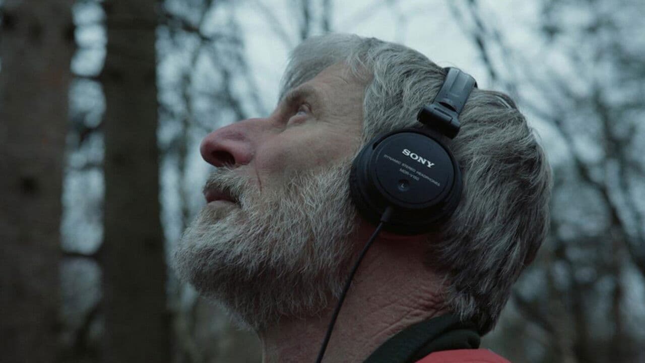 Até onde o mundo alcança