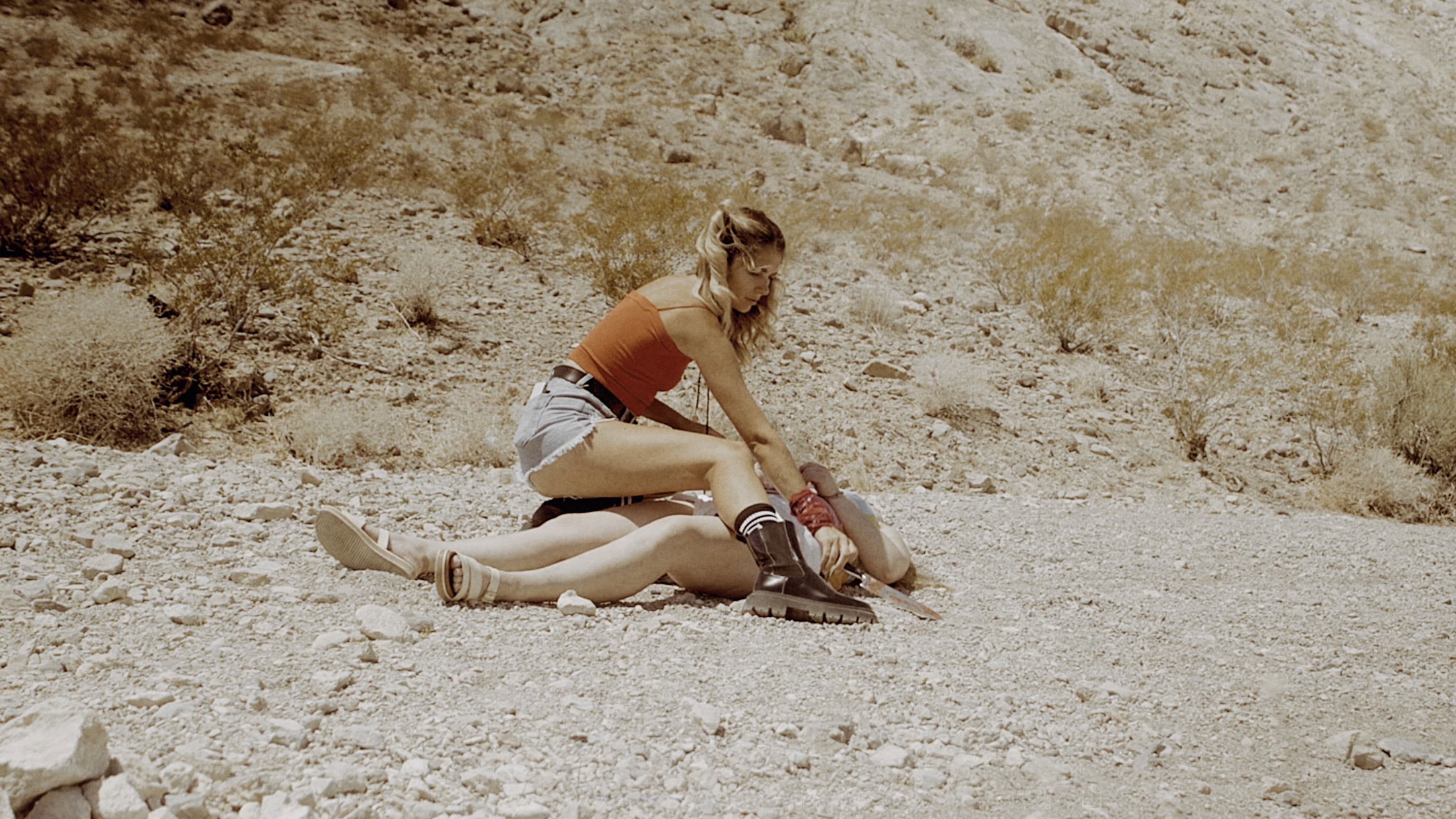 Take Good Care: The Way We Lie