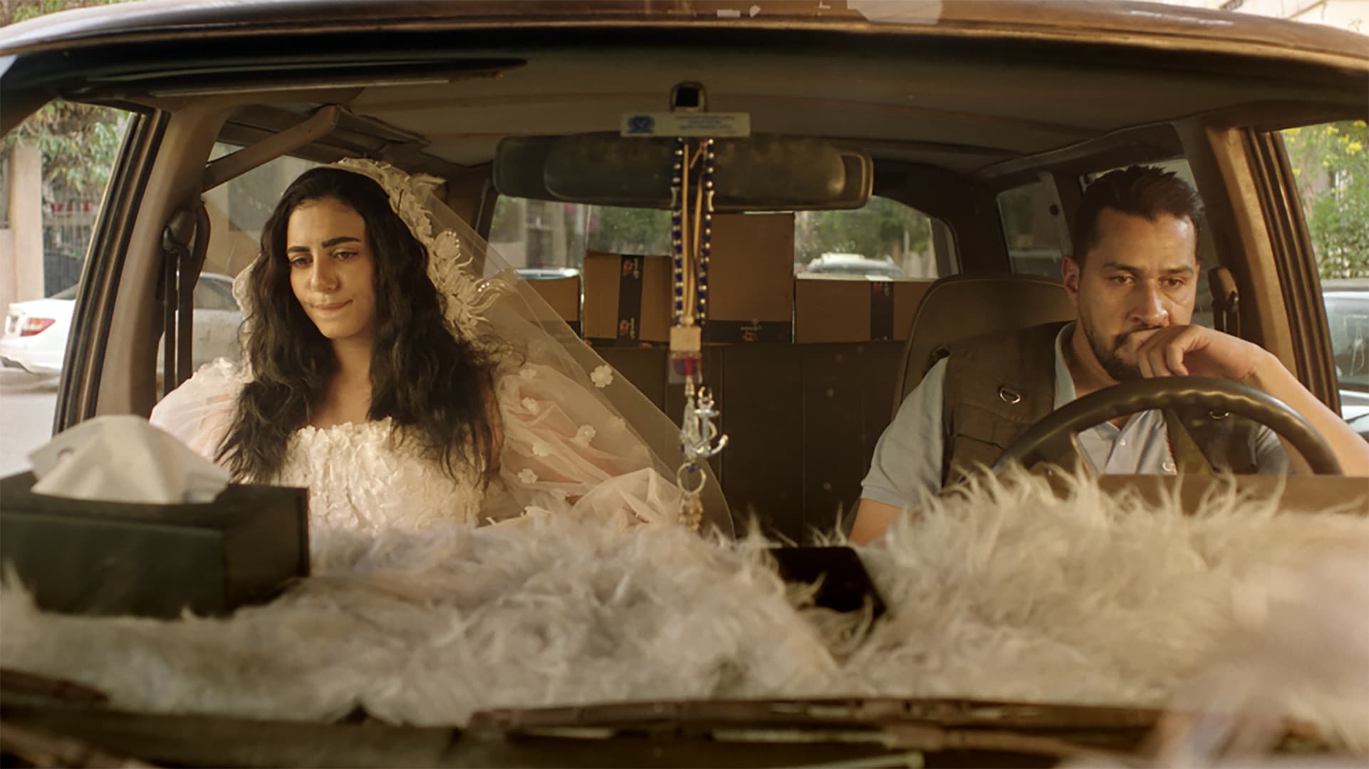 عقبالك يا قلبي