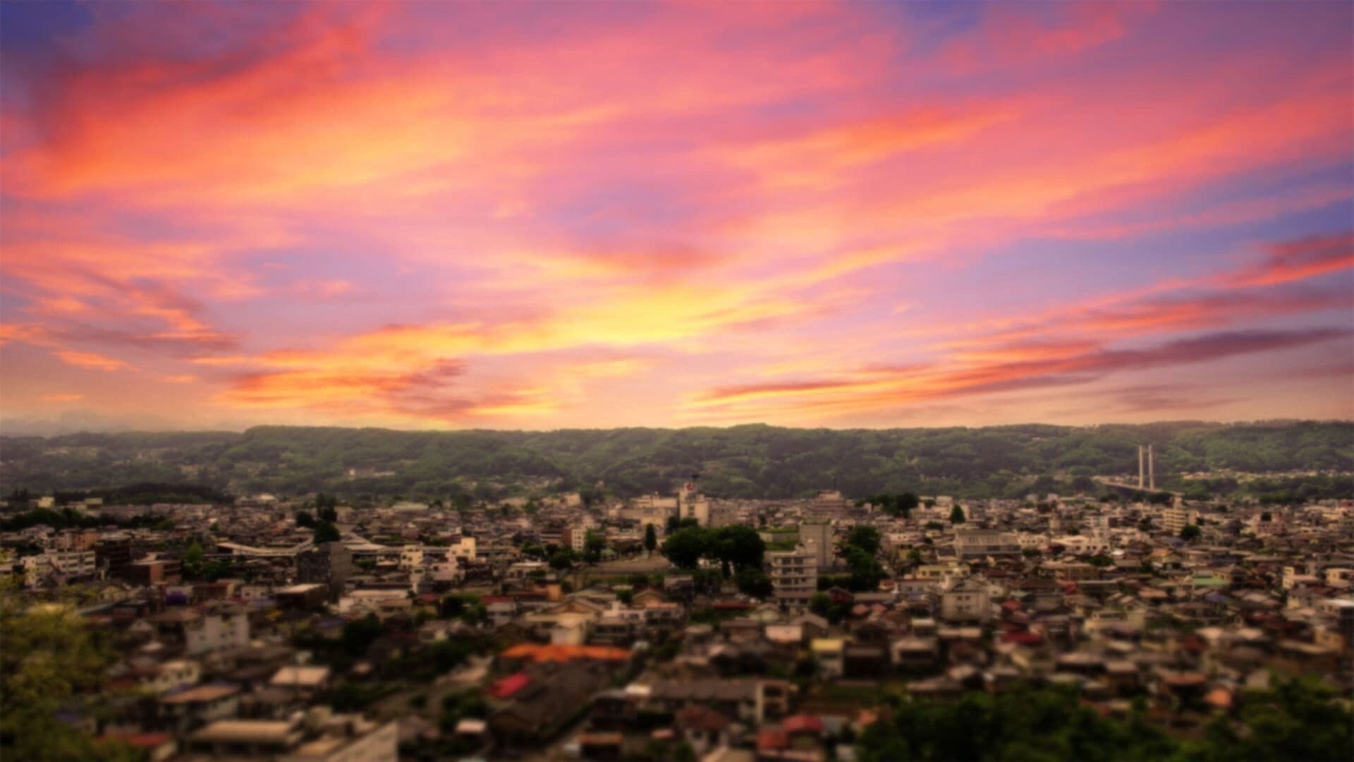 트와일라잇 사사라 사야