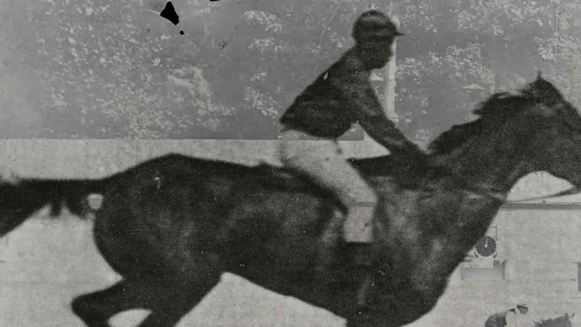 Una película (secreta)