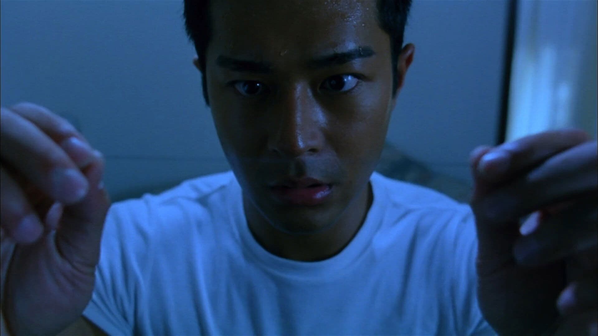 음양로 2 - 아재니좌우