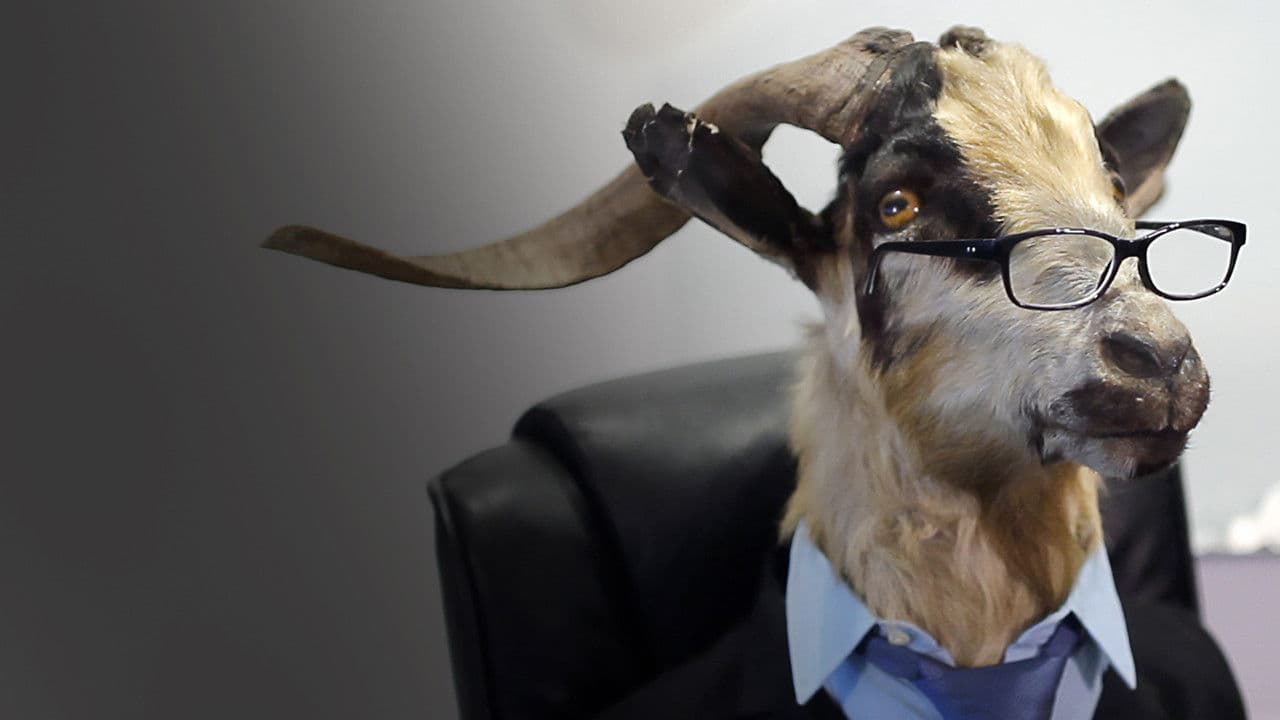 염소의 추천 동영상