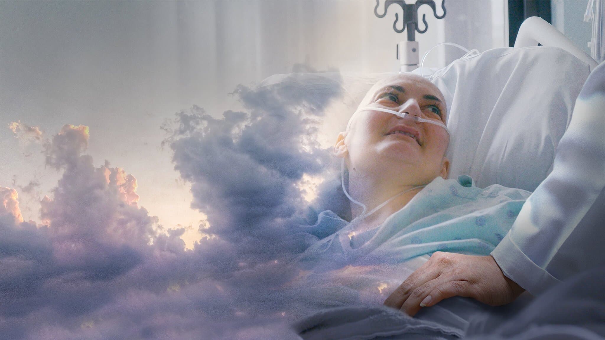 엔드 게임: 생이 끝나갈 때