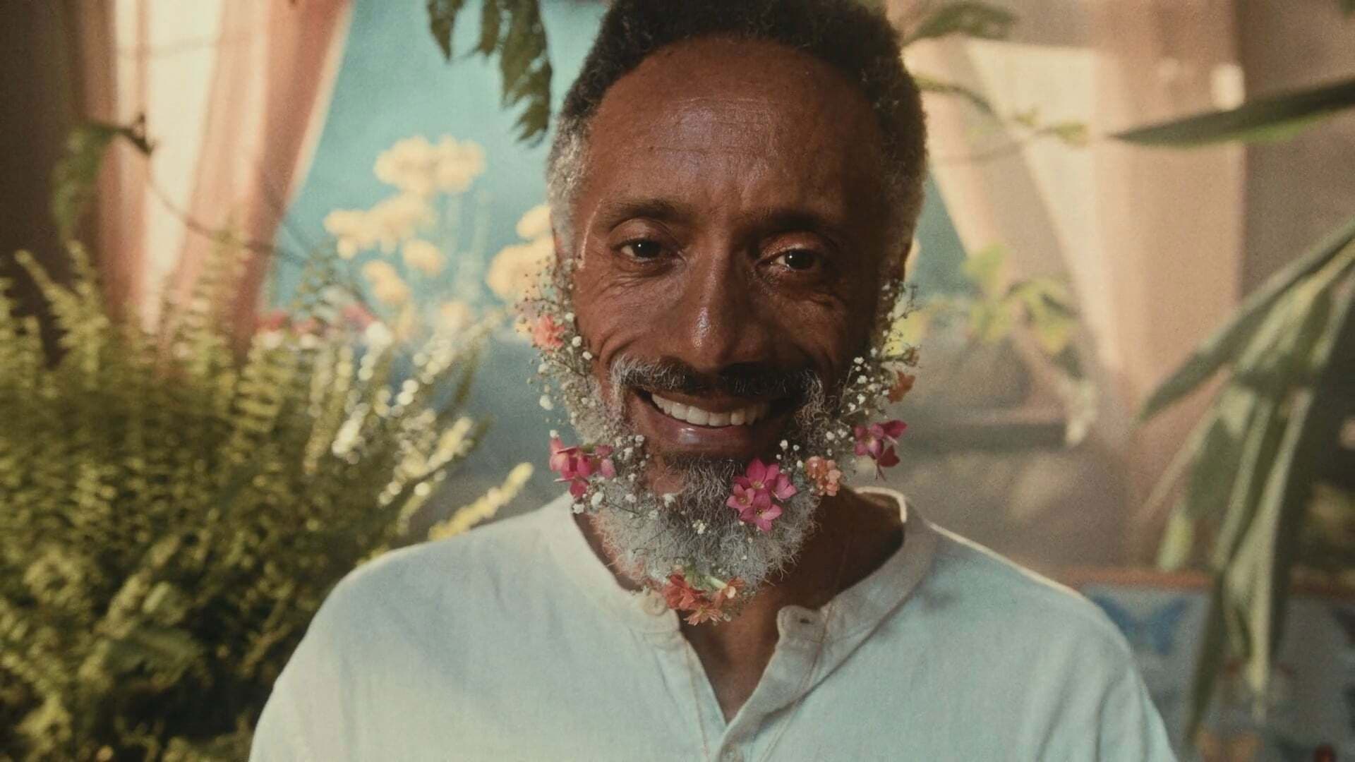 O Leve Bailar das Borboletas