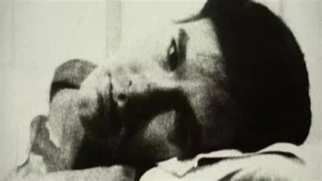 Vies et morts d'Andy Warhol