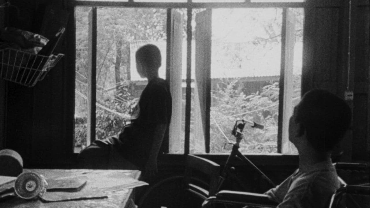 정오의 낯선 물체