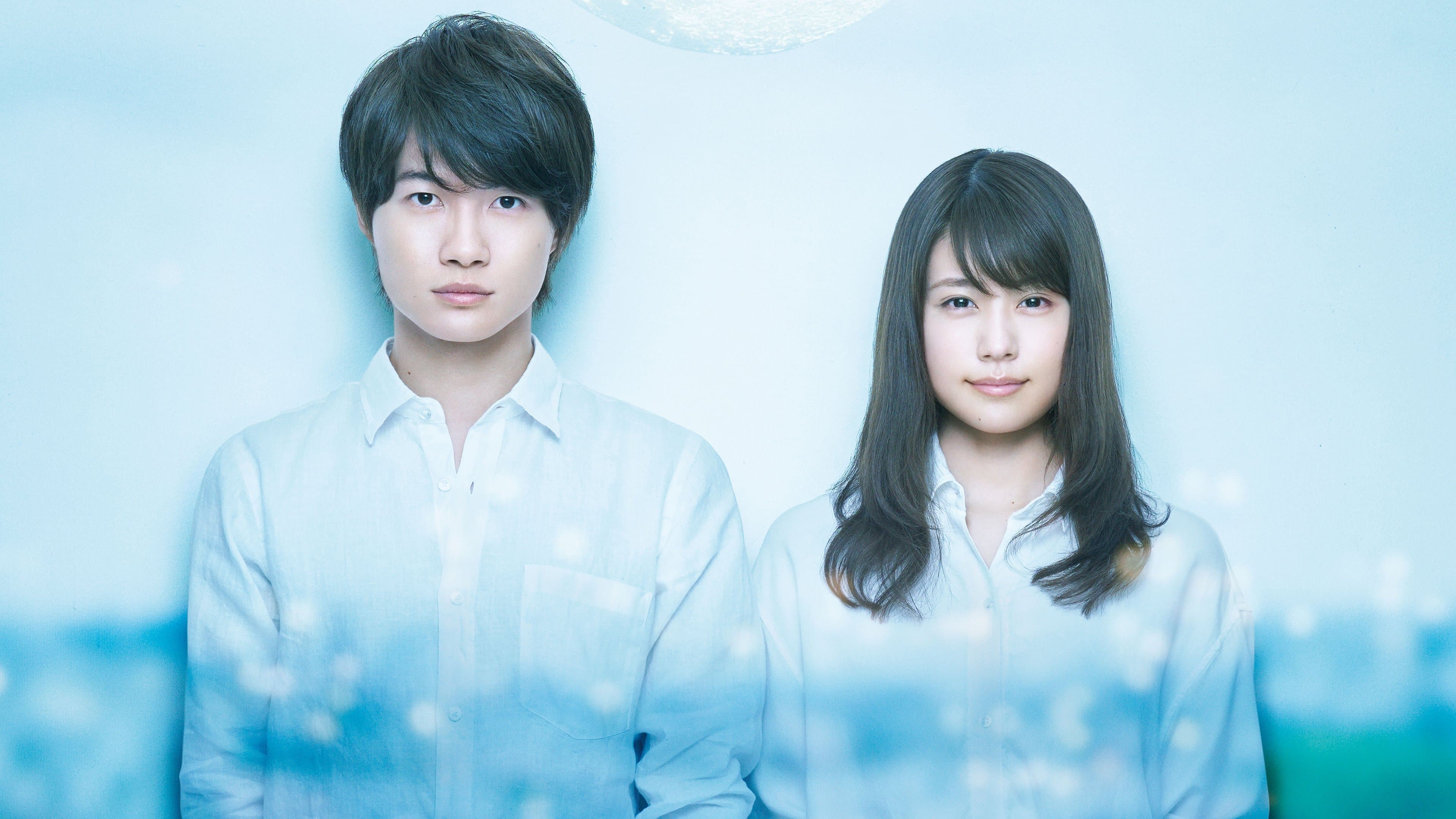 포르투나의 눈동자