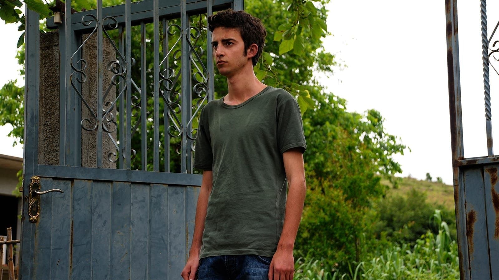 더 포기브니스 오브 블러드