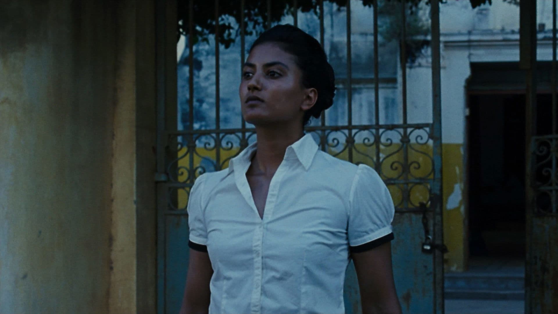 알마이에르 가의 광기