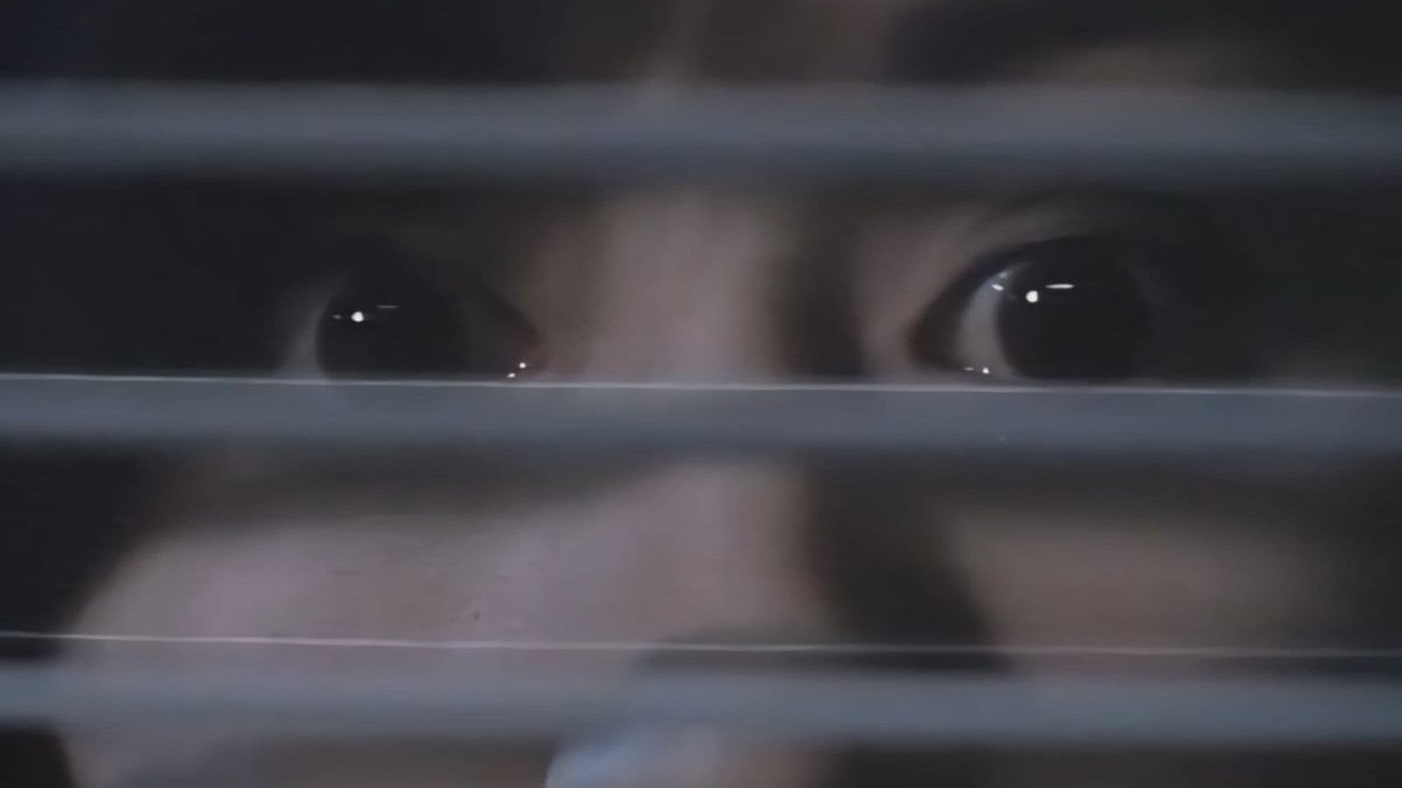 レイプハンター　通り魔