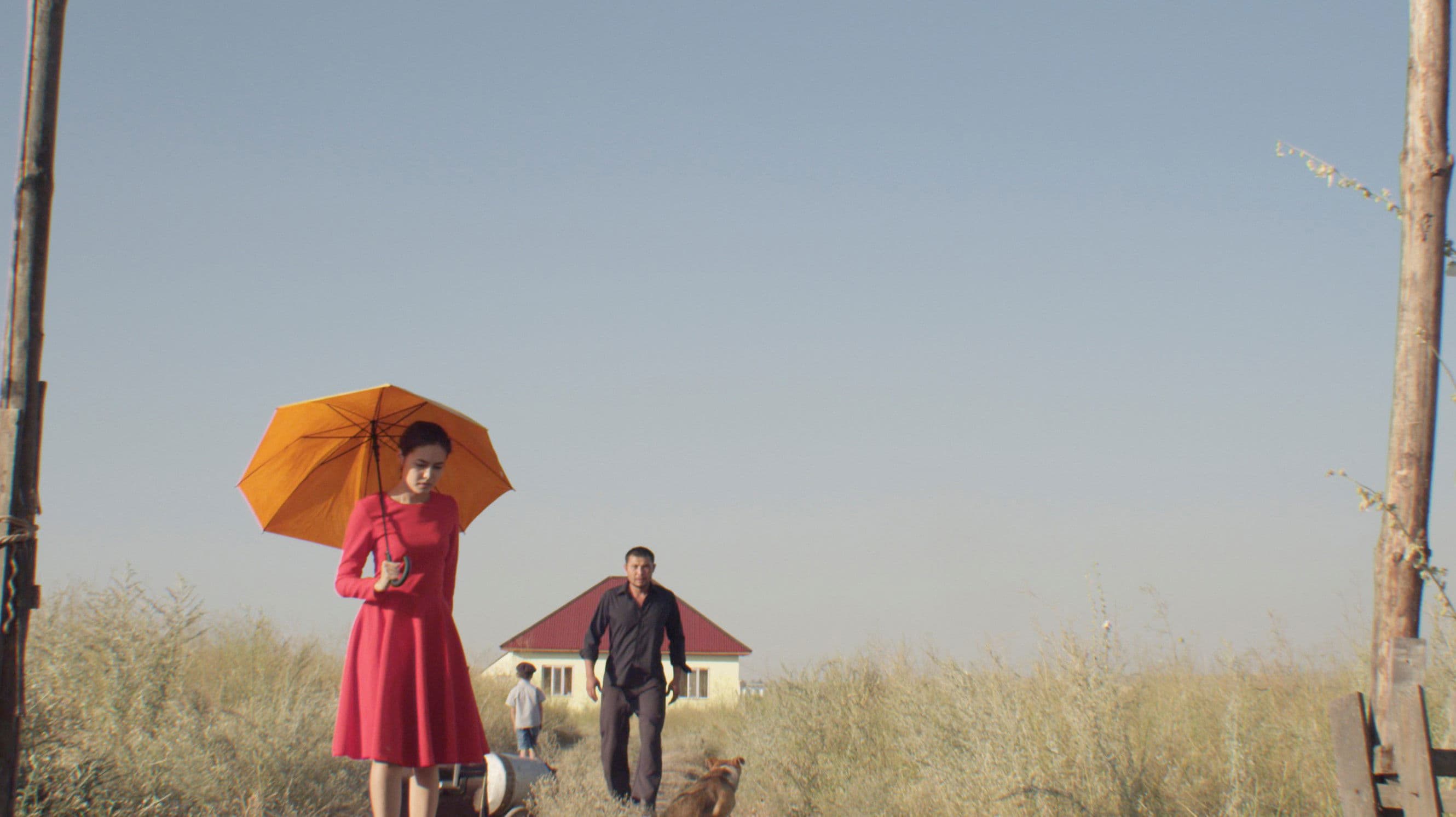 세상의 부드러운 무관심