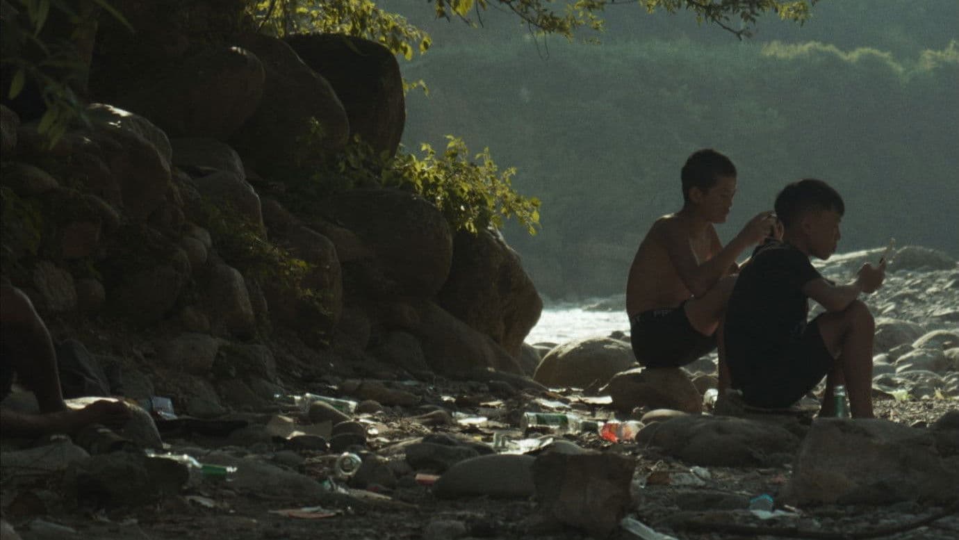 核桃熟了的时候