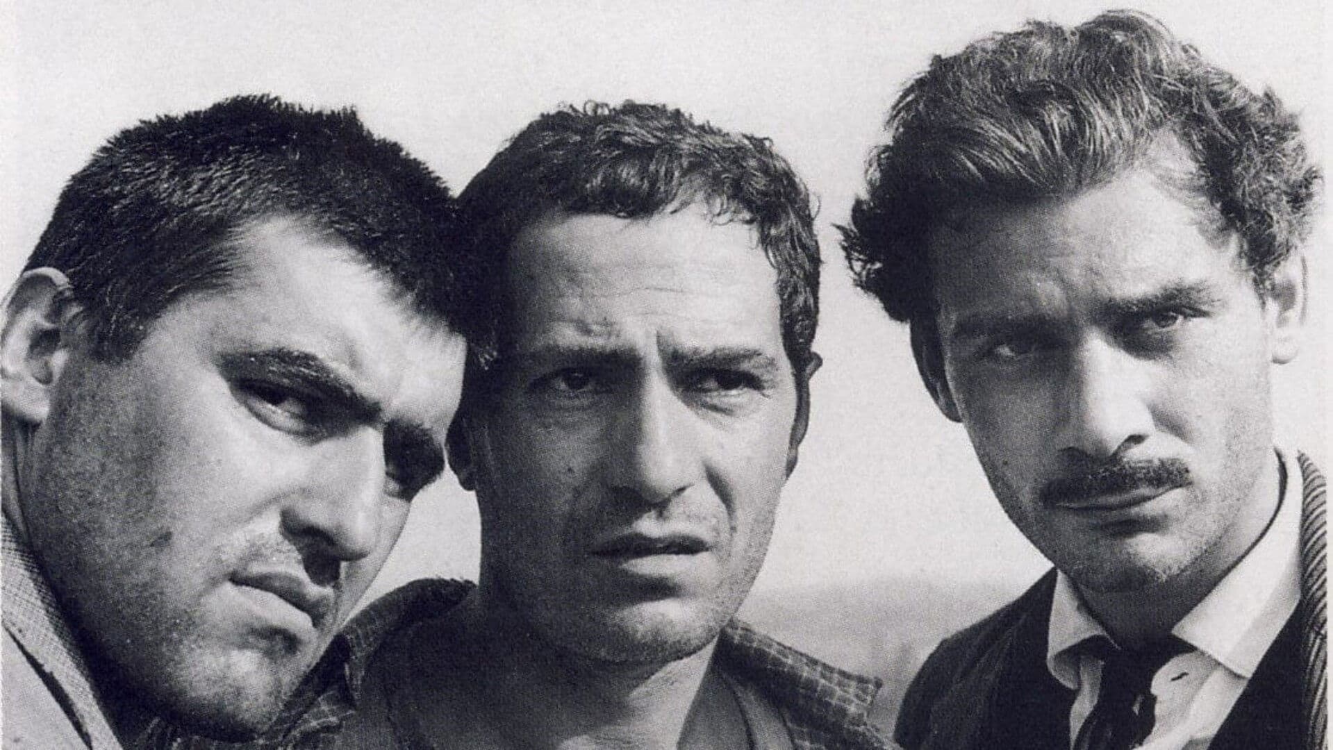 온 더 타이거스 백