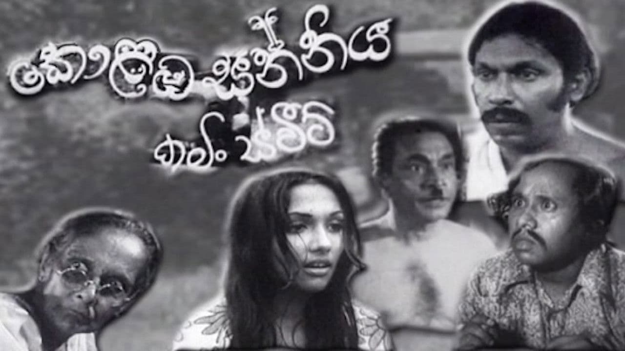 කොළඹ සන්නිය: කමිං ස්වීට්