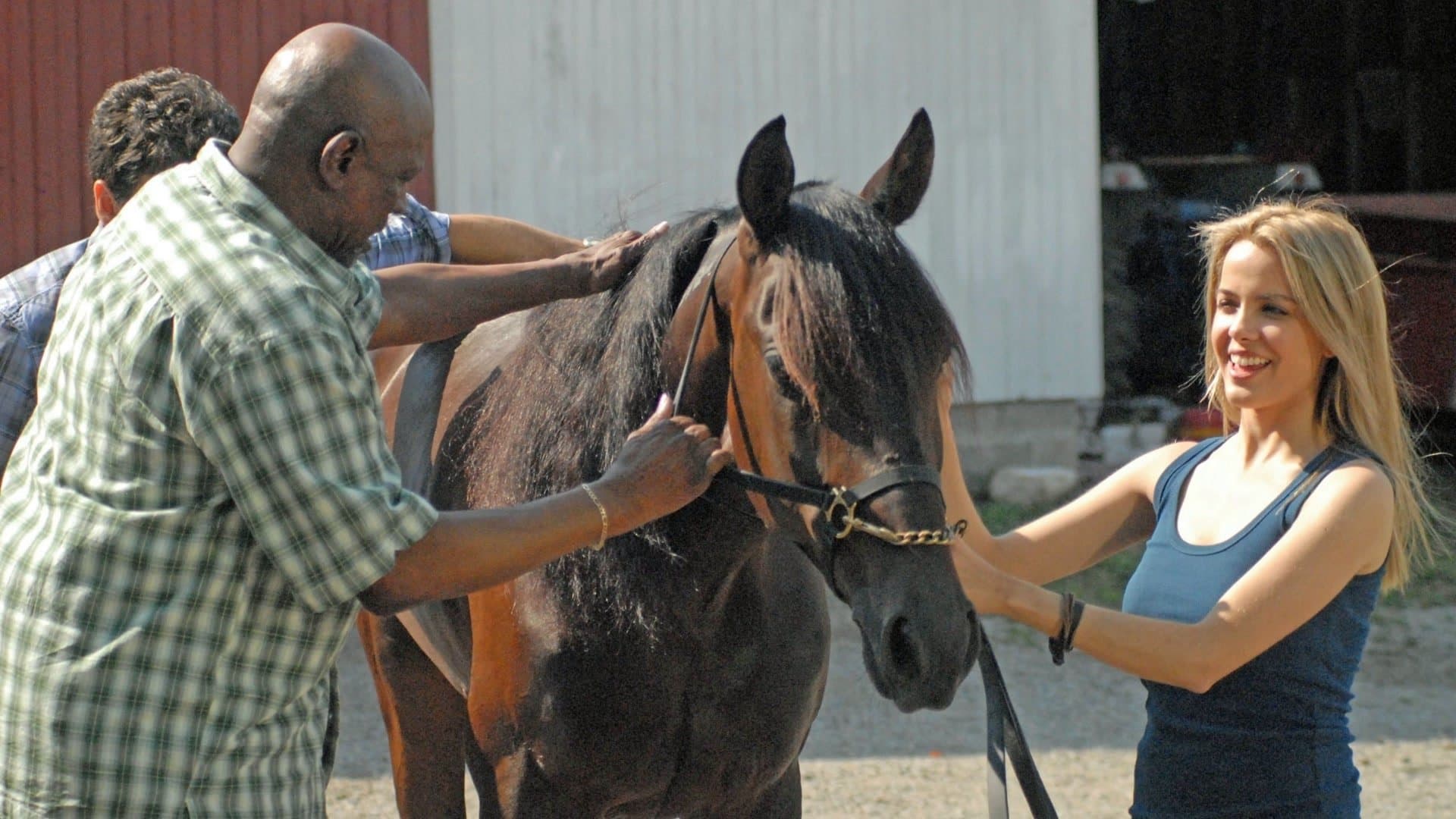 어메이징 레이서