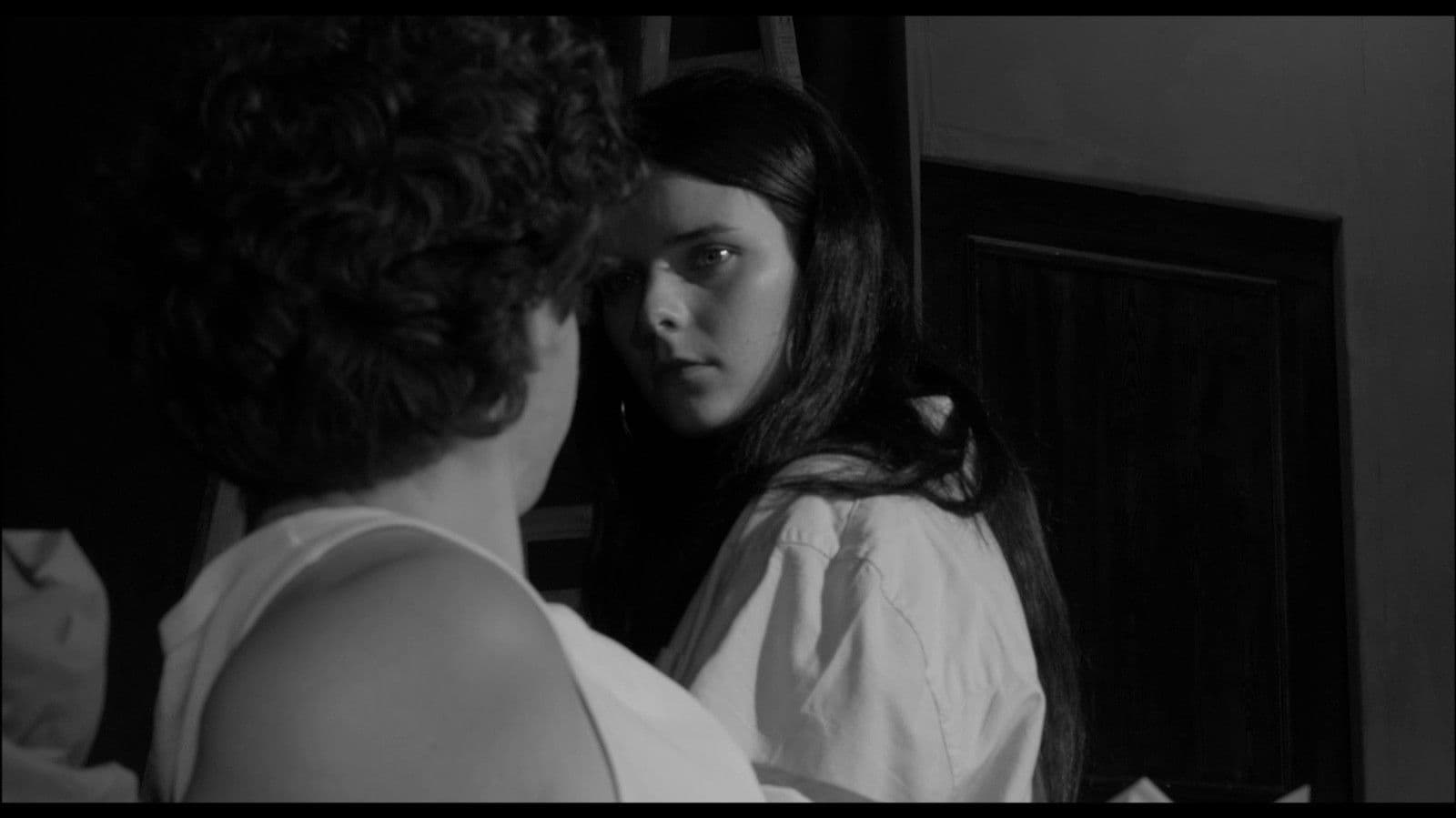 Un gato bajo la lluvia.