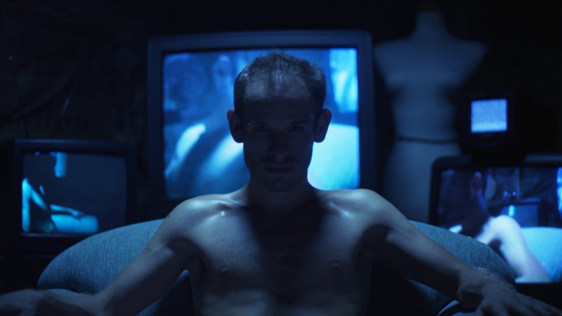 와일드 인 블루