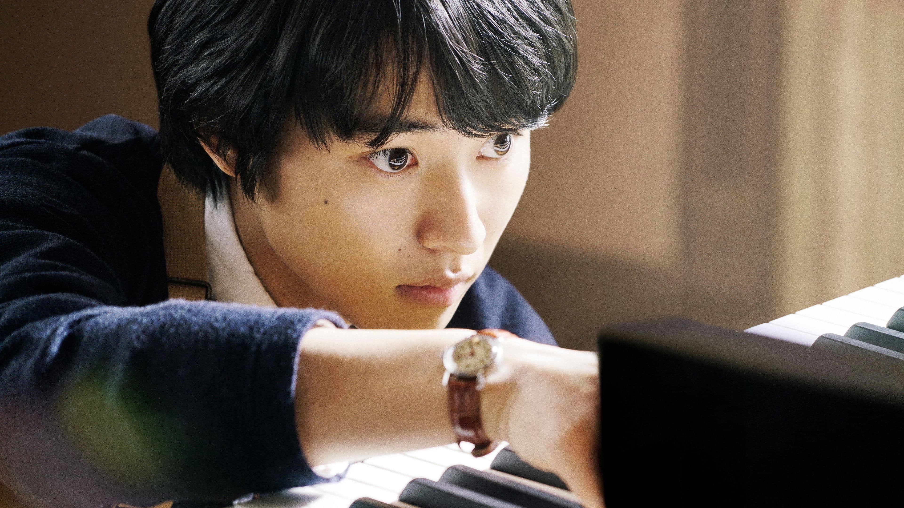 양과 강철의 숲