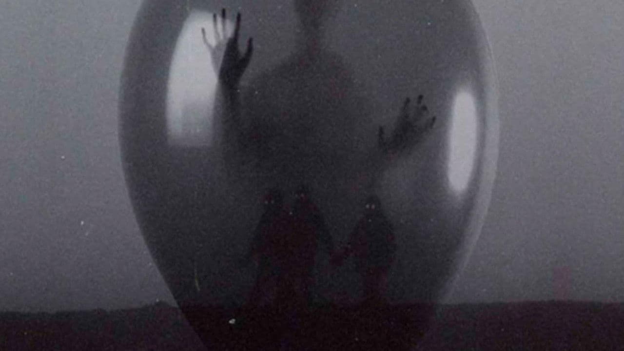 Memoria de una Madre