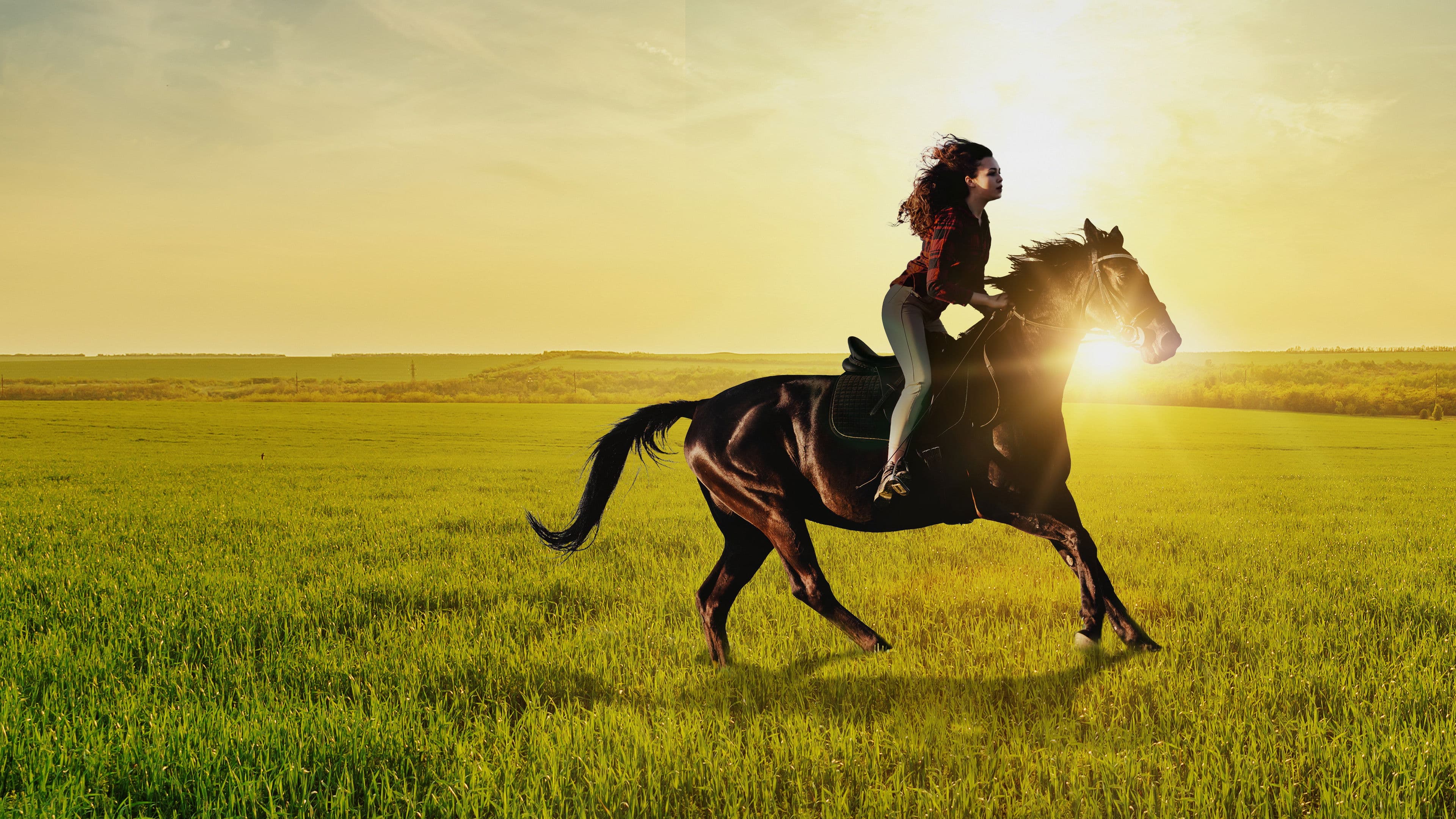 이프 아이 쿠드 라이드