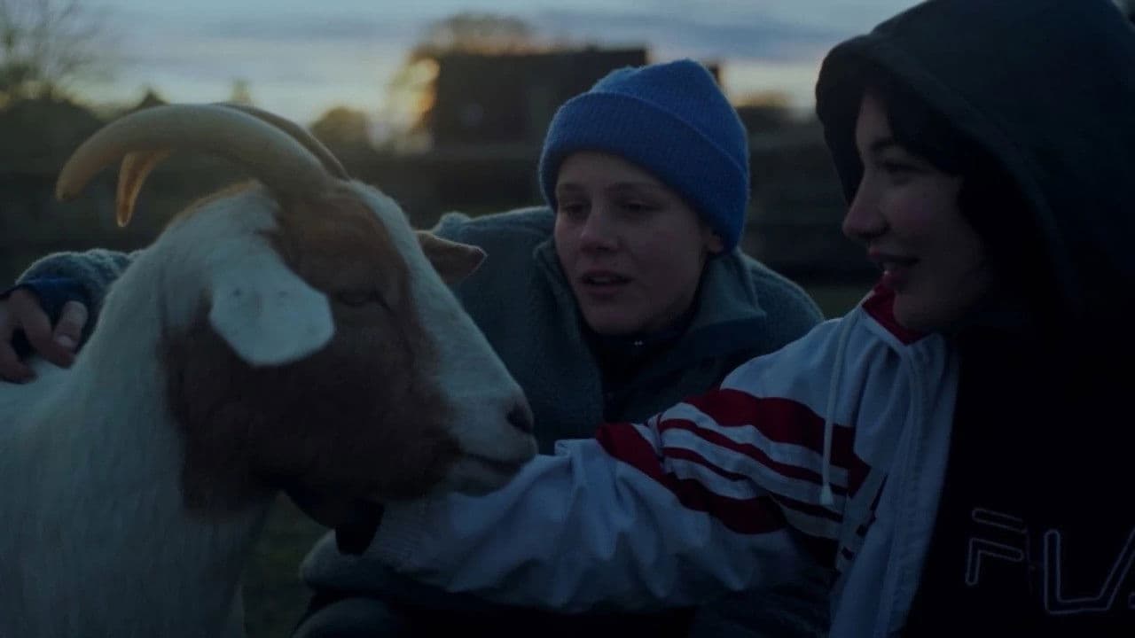 닌자 ㅆㅂ 부숴 버려