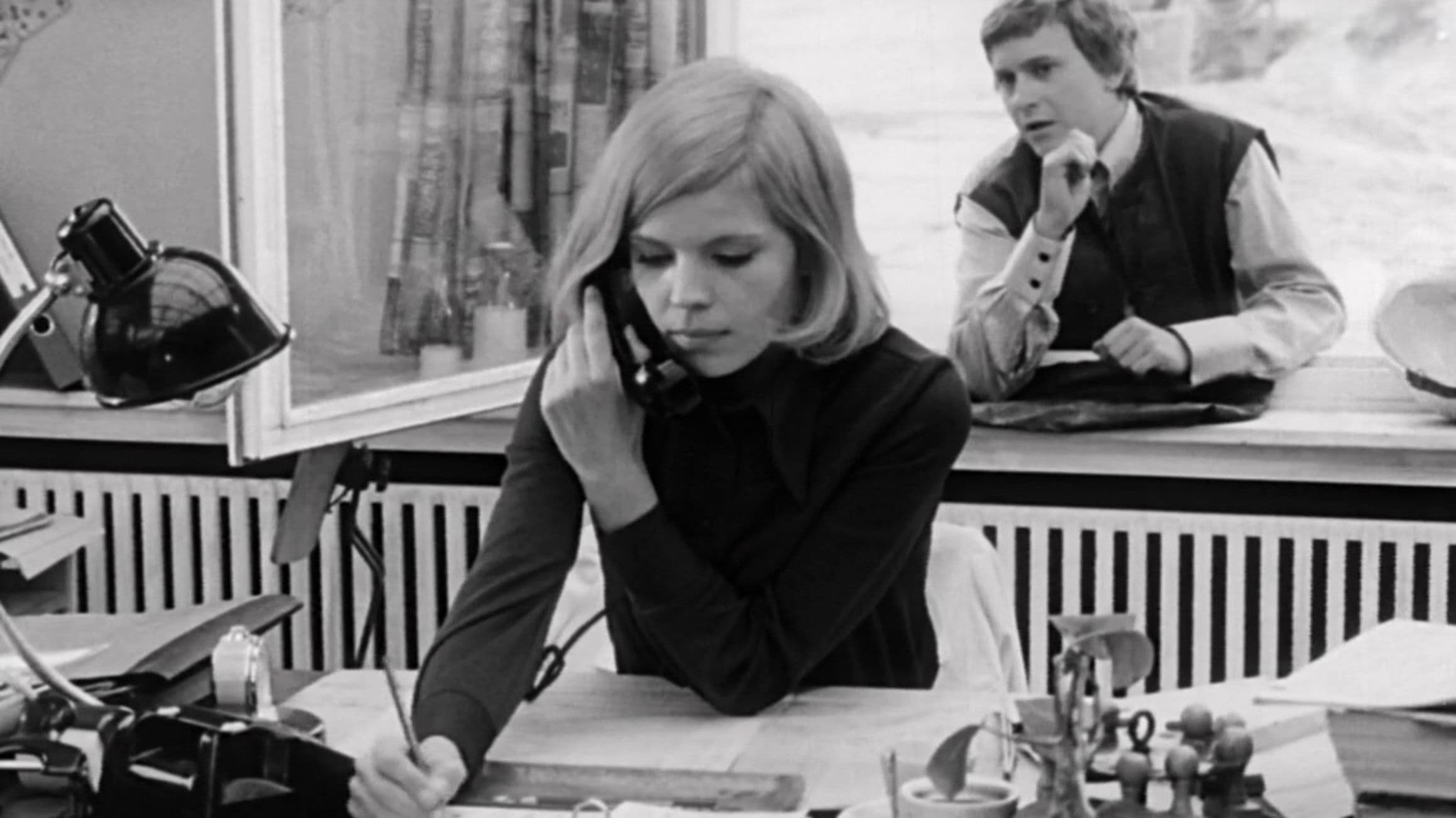 지붕 위의 비둘기