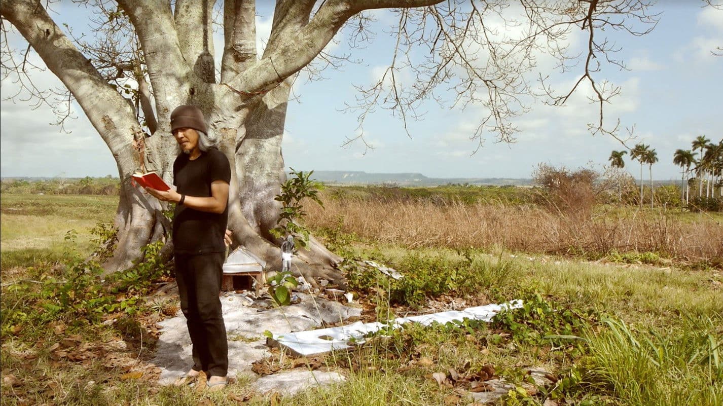 Atravesando el campo