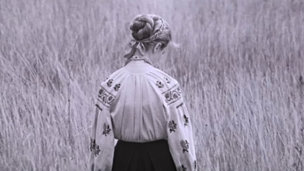 Иду к тебе...