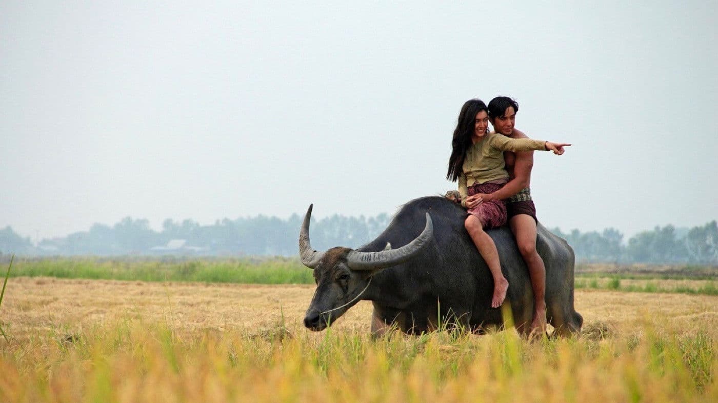 잔다라 어게인: 불멸의 사랑 파트 1