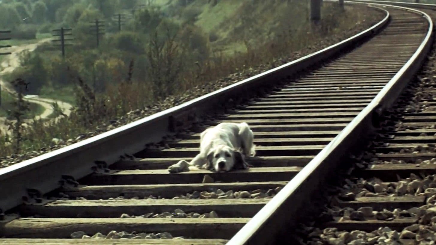 Belyy Bim Chernoe ukho