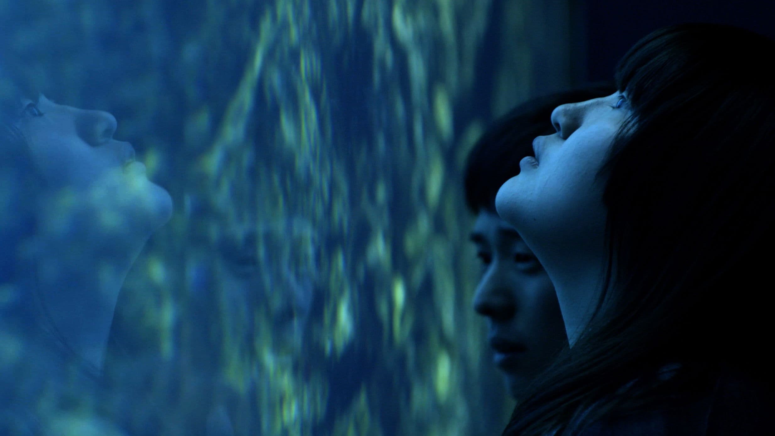 우리의 심장박동은 폭발하는 별들을 통해 연결되어 있다